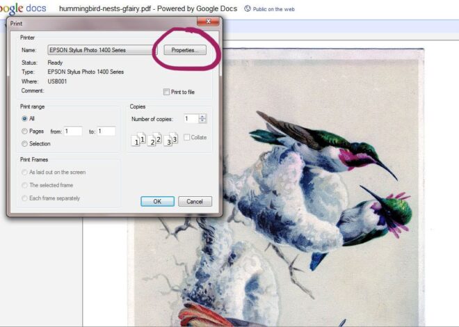 Picture Paper: Enhance Your Prints with Quality Materials