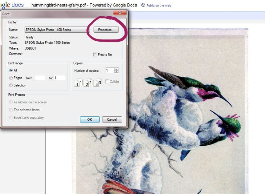 Picture Paper: Enhance Your Prints with Quality Materials