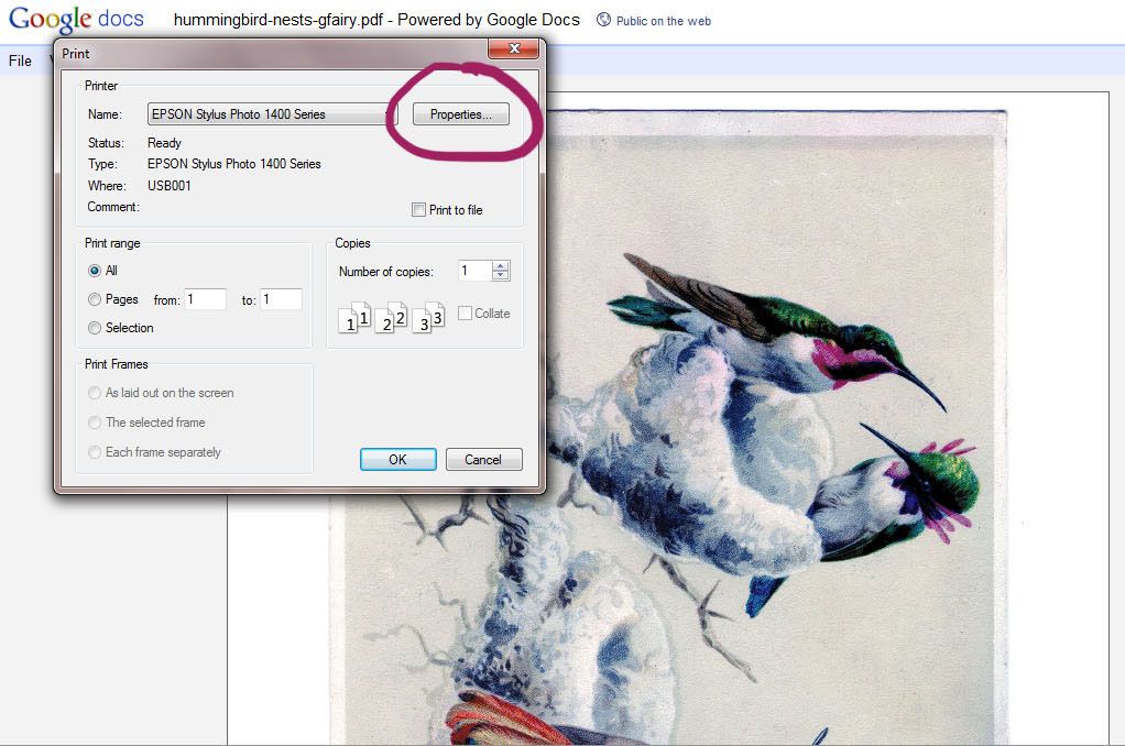 Picture Paper: Enhance Your Prints with Quality Materials