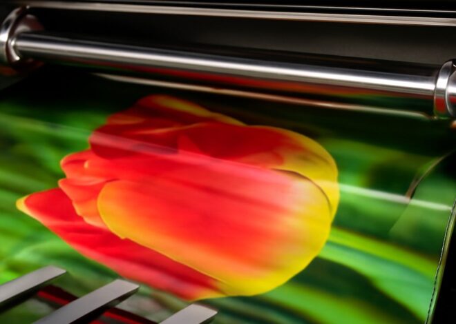 Vinyl Printing: A Comprehensive Guide to Custom Prints