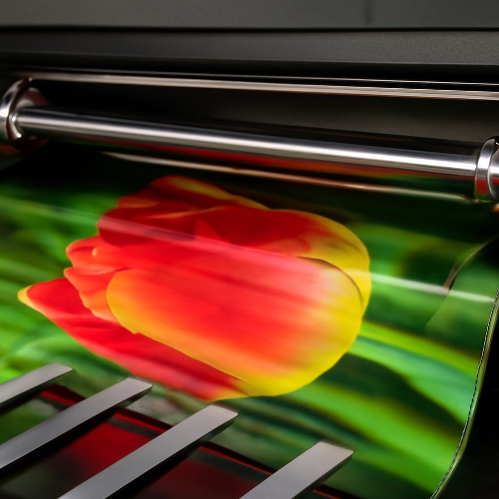 Vinyl Printing: A Comprehensive Guide to Custom Prints